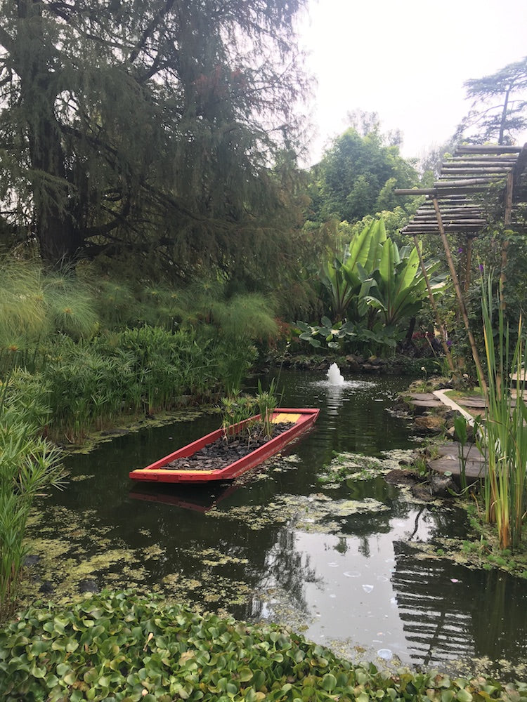 Jardín botánico